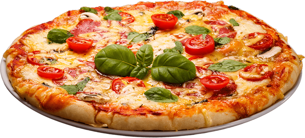 Pizza Franchise India